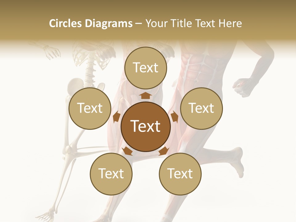 Flesh Anatomic Nature PowerPoint Template