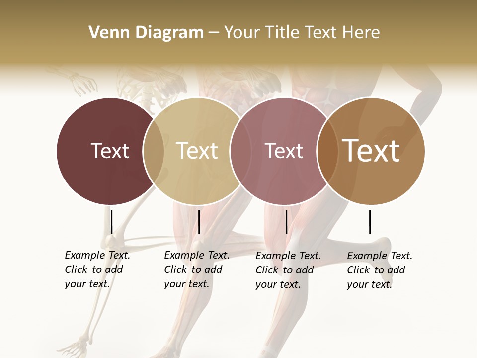 Flesh Anatomic Nature PowerPoint Template