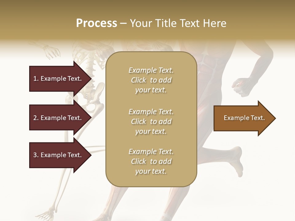 Flesh Anatomic Nature PowerPoint Template
