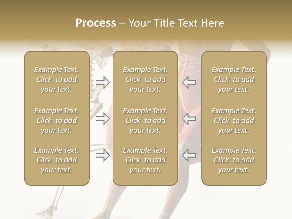 Flesh Anatomic Nature PowerPoint Template