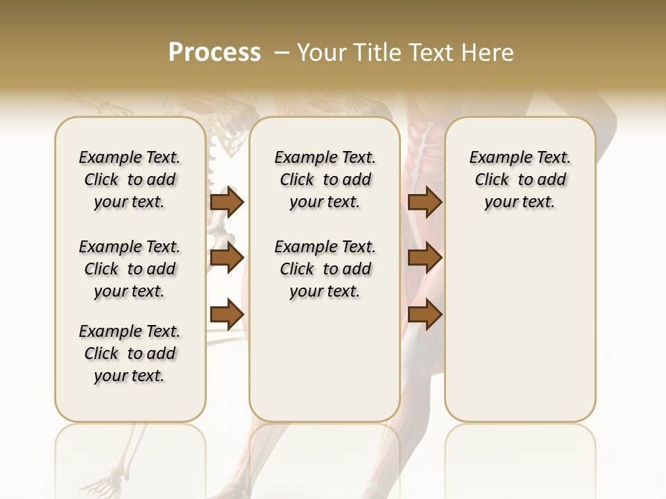 Flesh Anatomic Nature PowerPoint Template