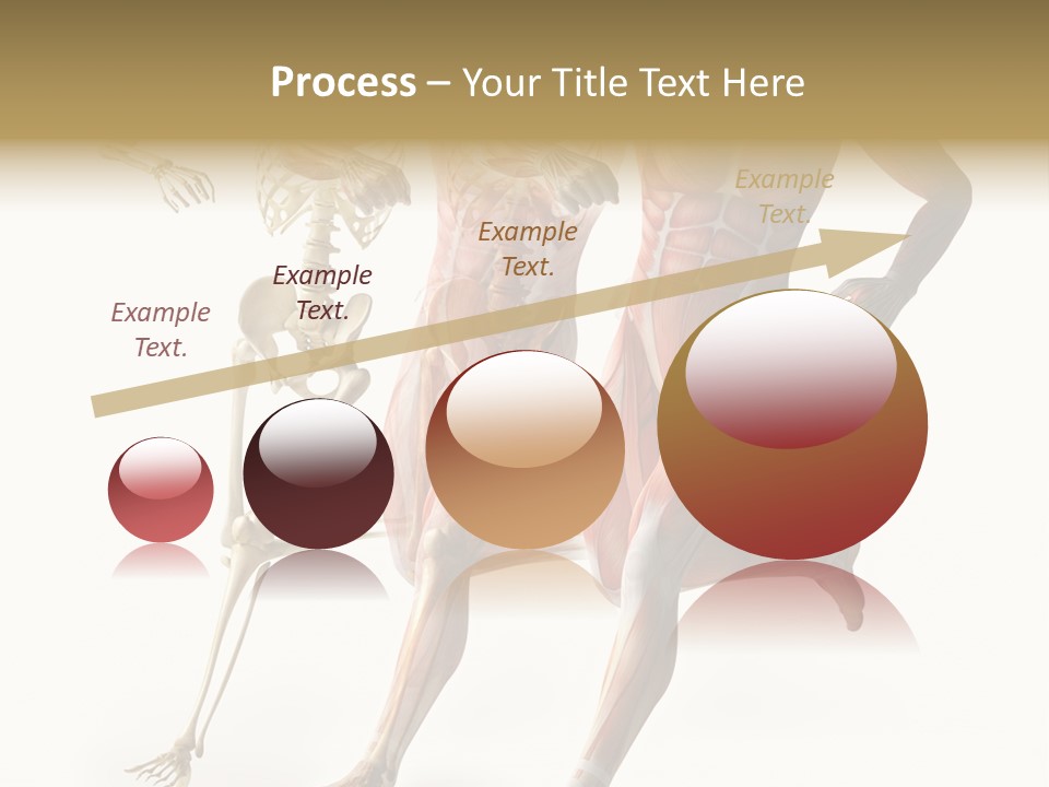 Flesh Anatomic Nature PowerPoint Template