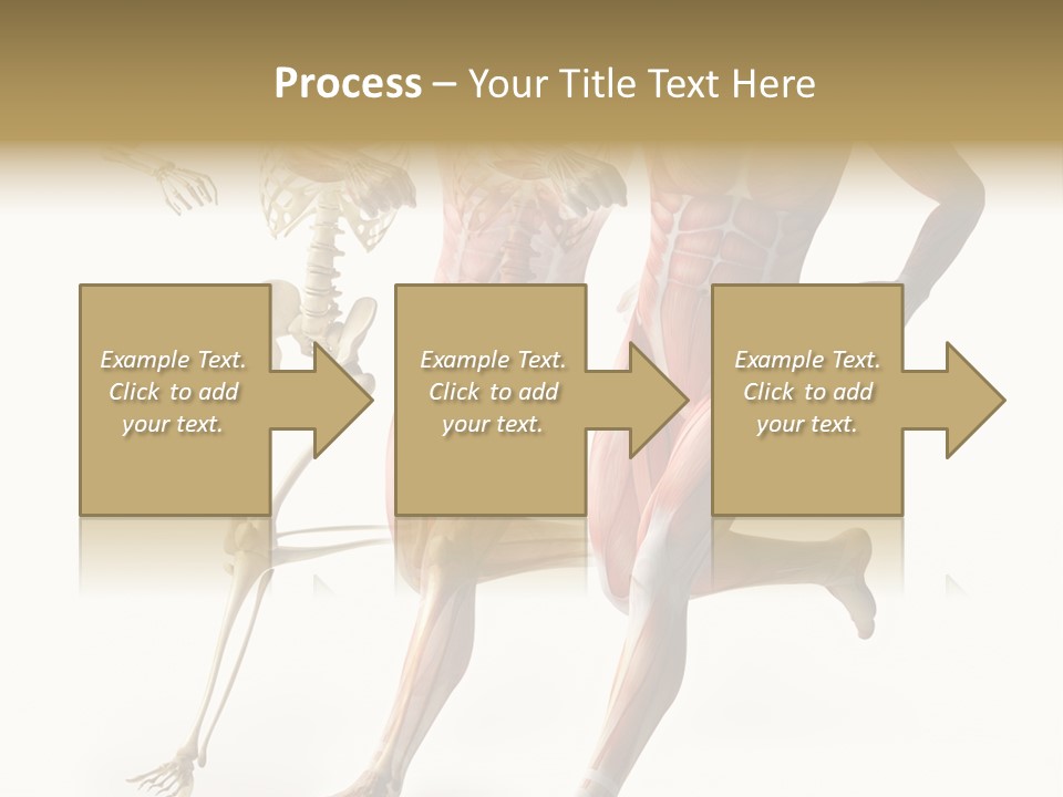 Flesh Anatomic Nature PowerPoint Template