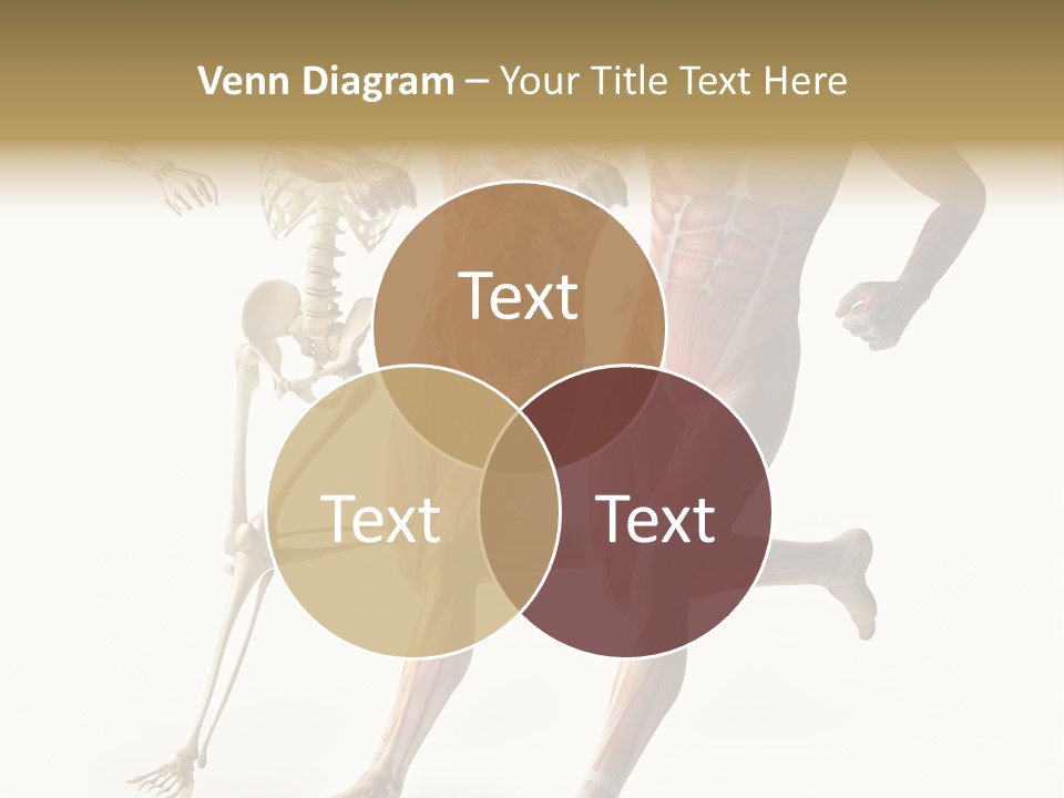 Flesh Anatomic Nature PowerPoint Template