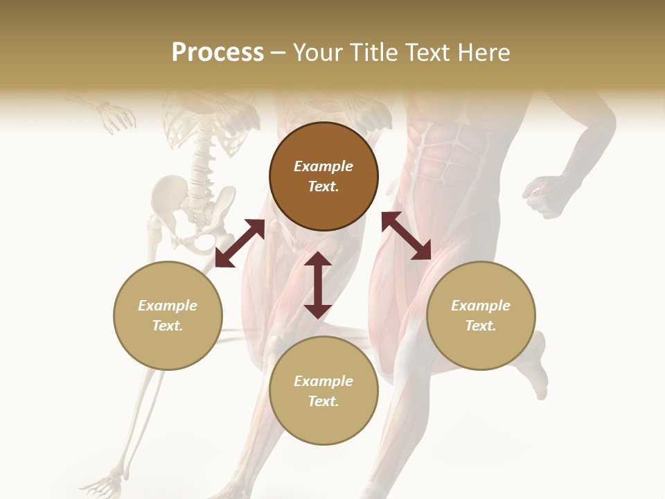Flesh Anatomic Nature PowerPoint Template