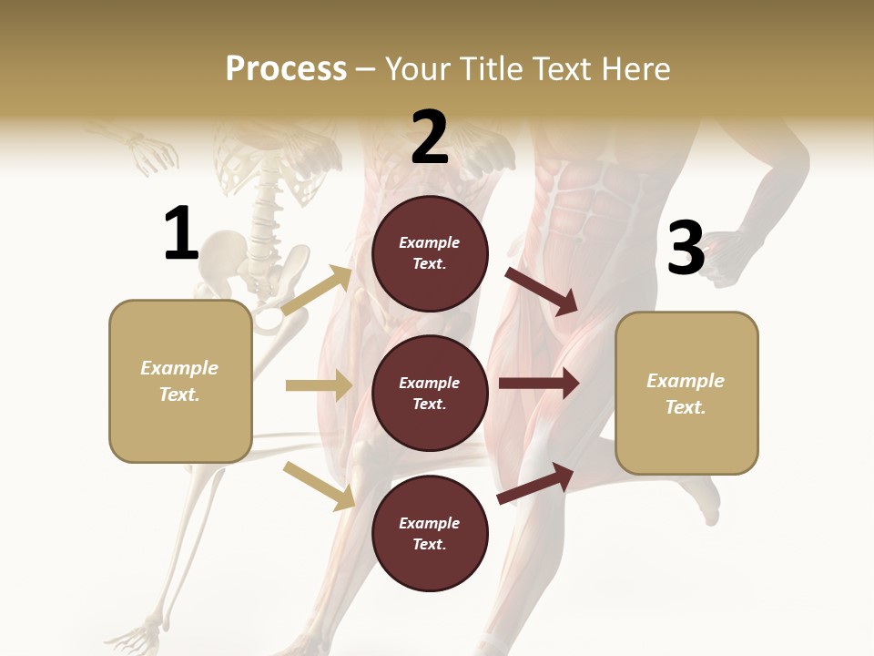 Flesh Anatomic Nature PowerPoint Template