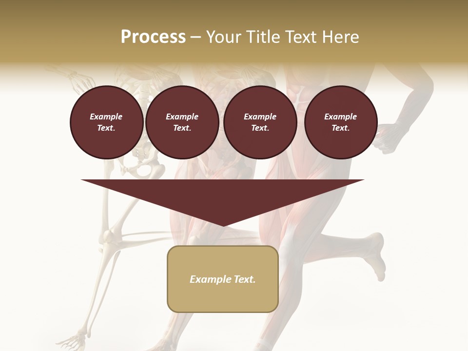 Flesh Anatomic Nature PowerPoint Template