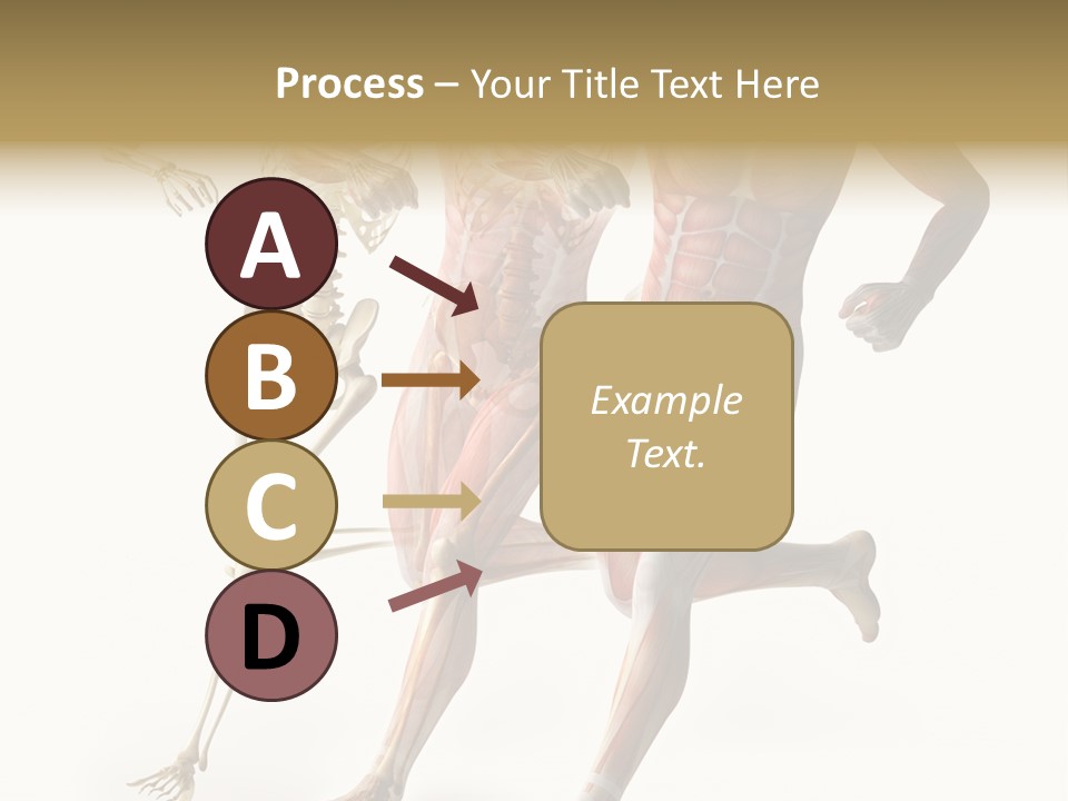 Flesh Anatomic Nature PowerPoint Template