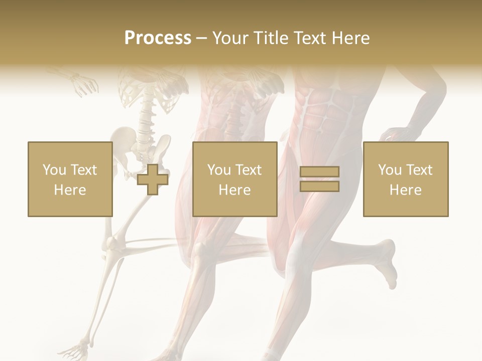 Flesh Anatomic Nature PowerPoint Template