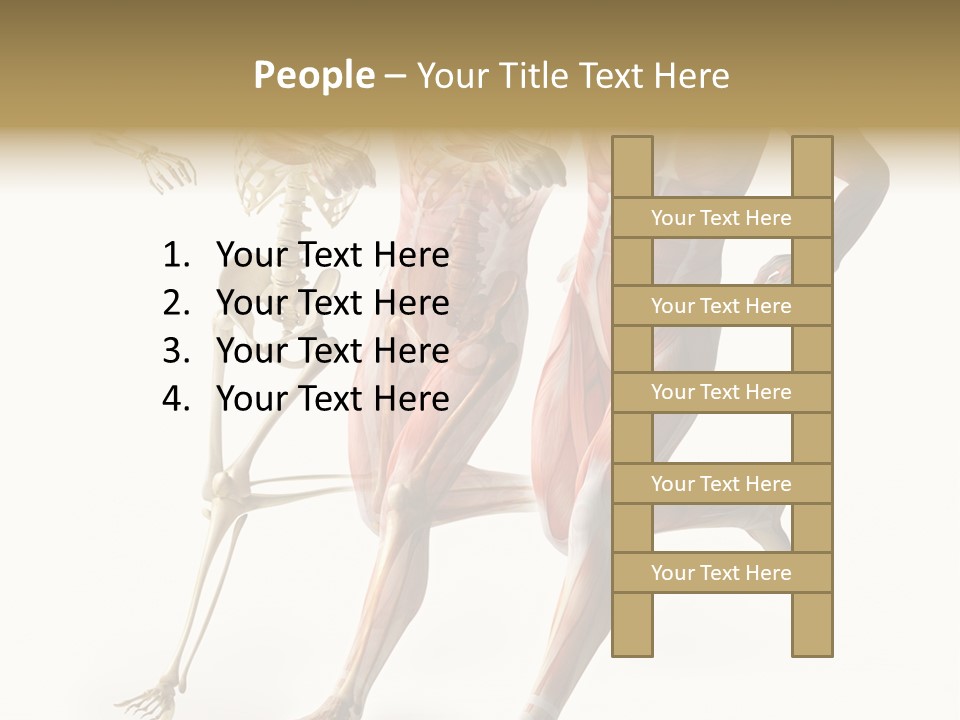 Flesh Anatomic Nature PowerPoint Template