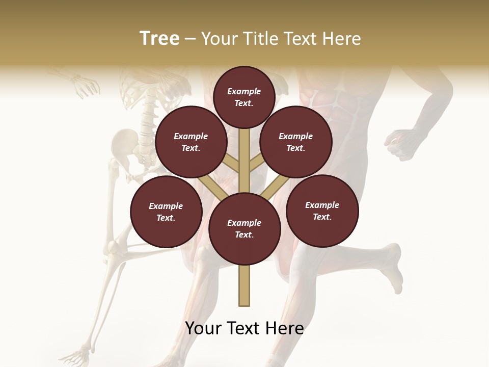 Flesh Anatomic Nature PowerPoint Template