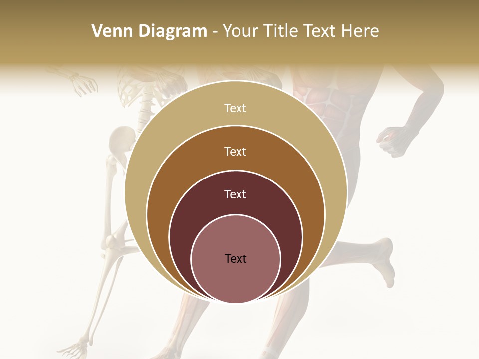 Flesh Anatomic Nature PowerPoint Template