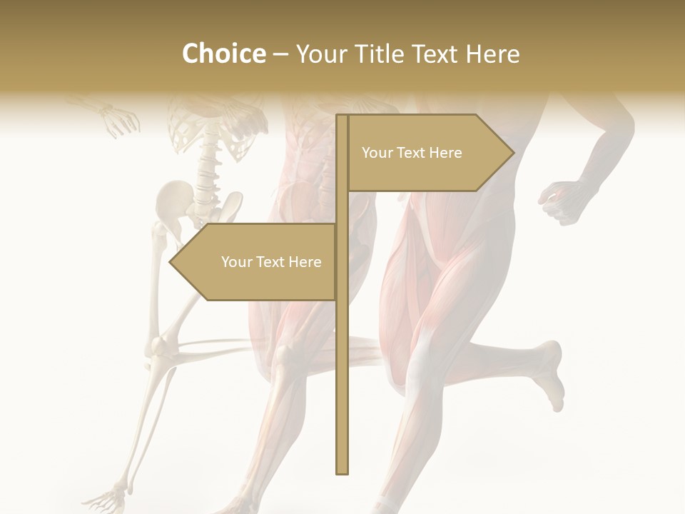 Flesh Anatomic Nature PowerPoint Template