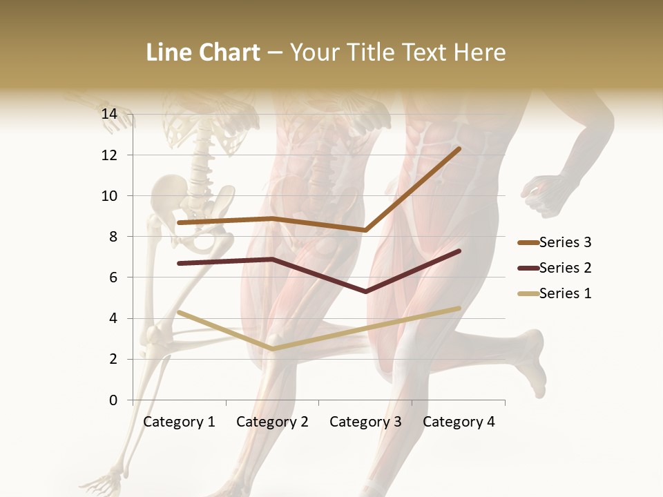 Flesh Anatomic Nature PowerPoint Template