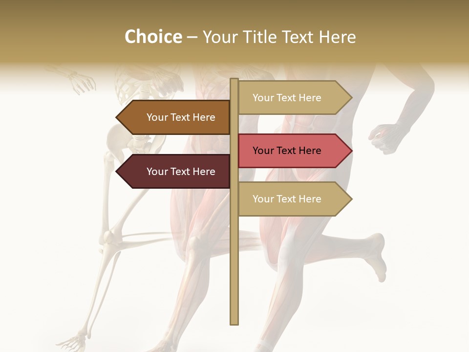 Flesh Anatomic Nature PowerPoint Template