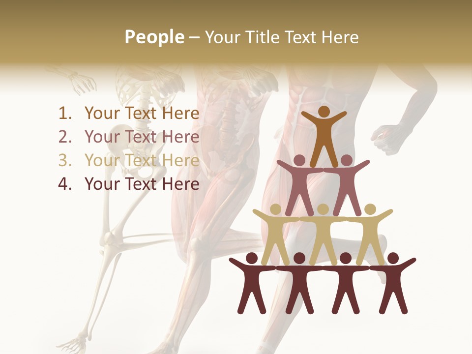 Flesh Anatomic Nature PowerPoint Template