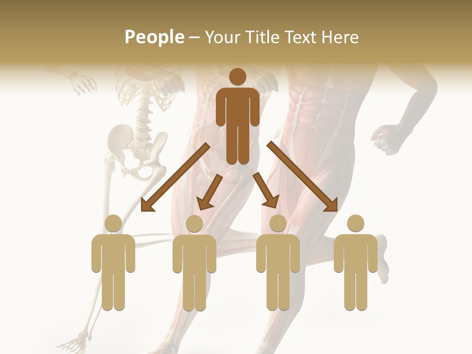 Flesh Anatomic Nature PowerPoint Template