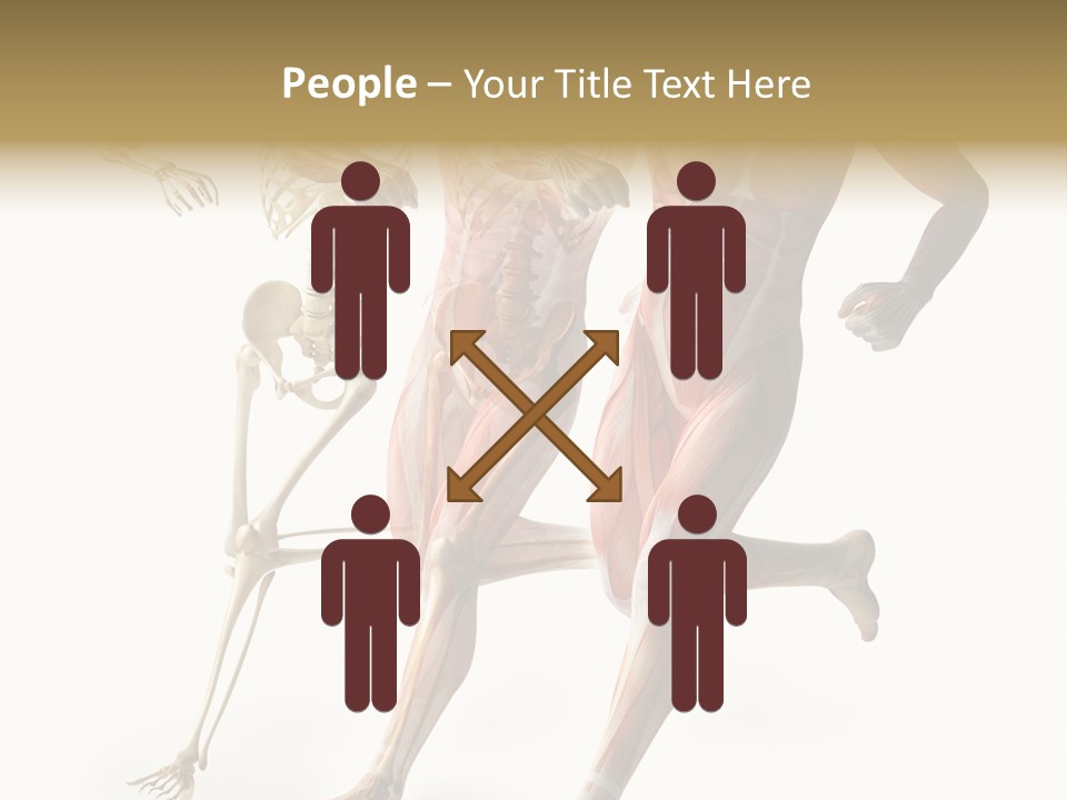 Flesh Anatomic Nature PowerPoint Template