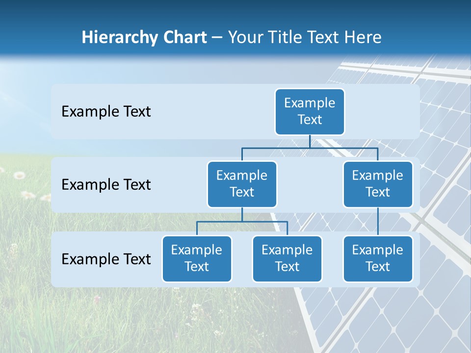 Cell Light Summer PowerPoint Template