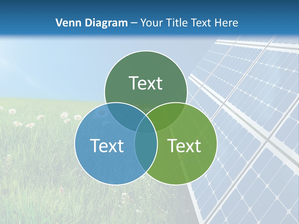 Cell Light Summer PowerPoint Template