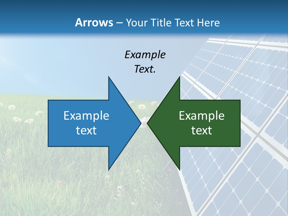 Cell Light Summer PowerPoint Template