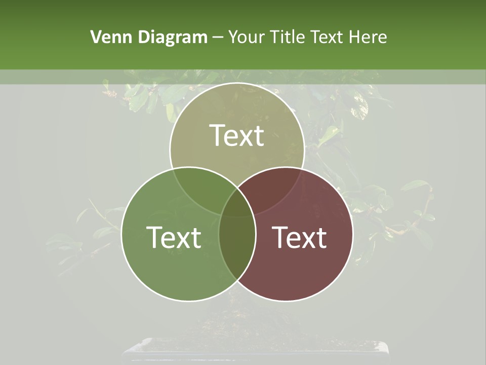 Agriculture Garden Green PowerPoint Template