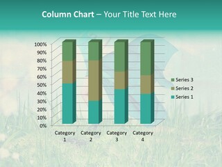 Effect Sexy Collage PowerPoint Template