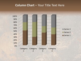 Texture Plate Vintage PowerPoint Template