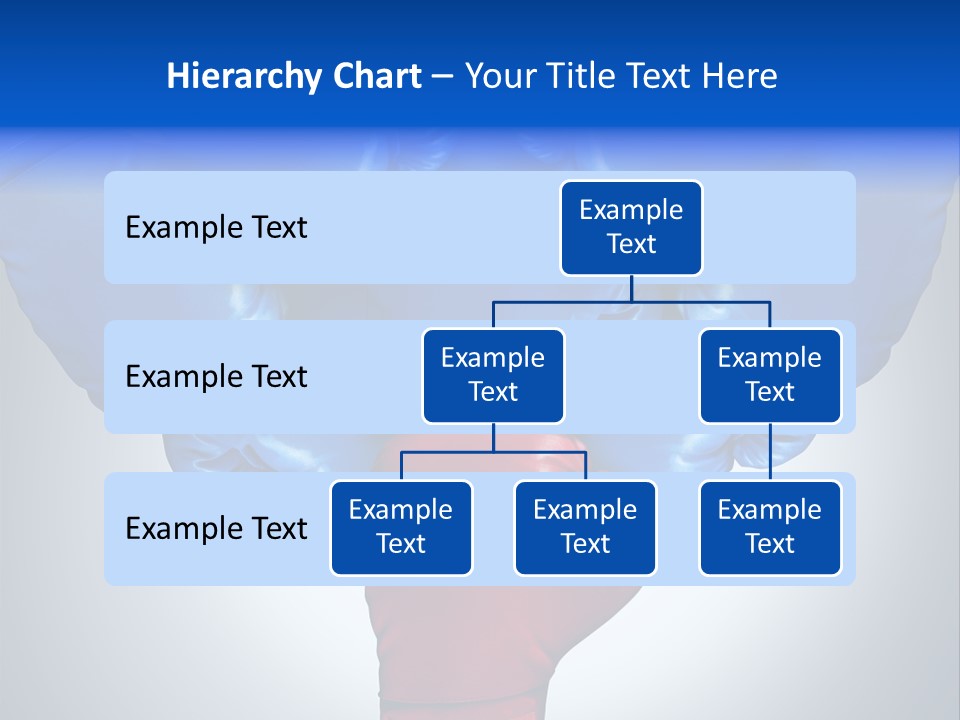 Boxer Challenge Imagination PowerPoint Template