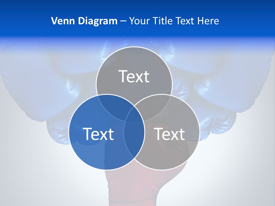 Boxer Challenge Imagination PowerPoint Template