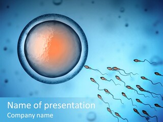 Pregnancy Pregnant Orgasm PowerPoint Template