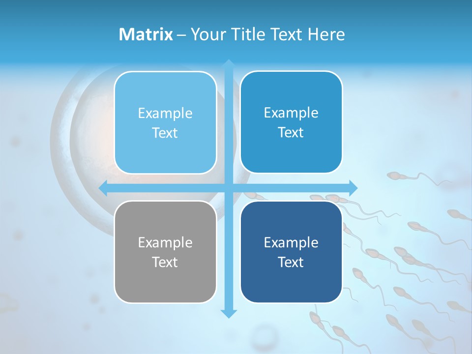 Pregnancy Pregnant Orgasm PowerPoint Template