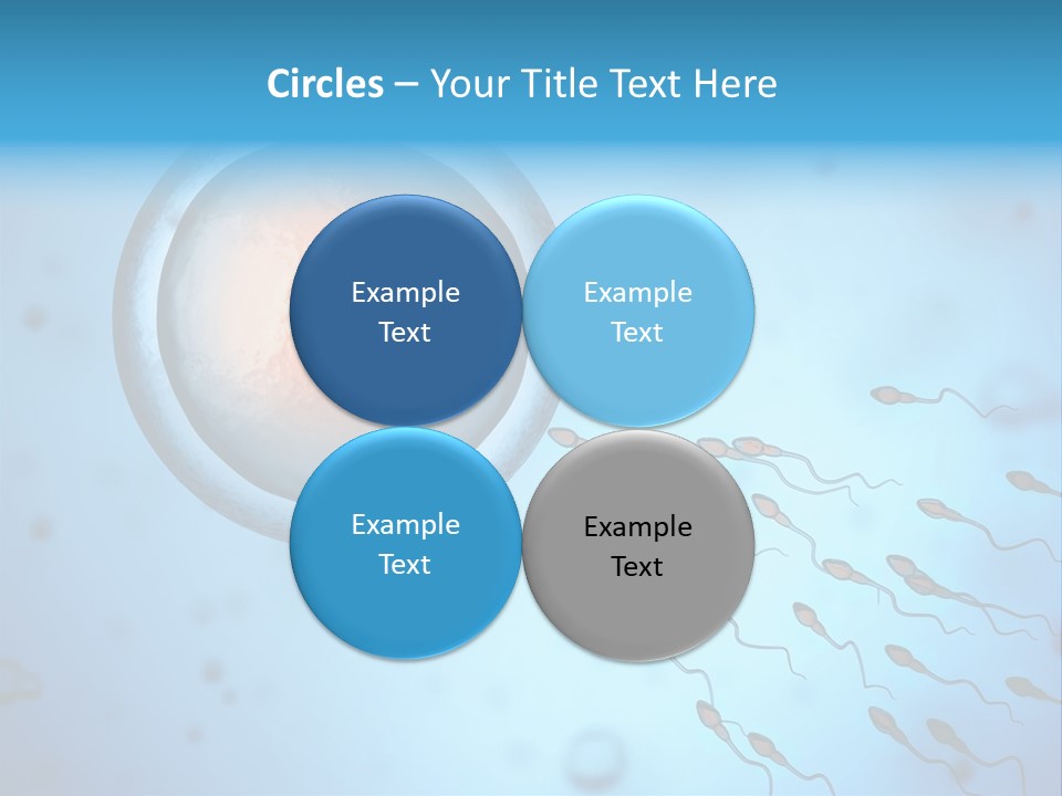 Pregnancy Pregnant Orgasm PowerPoint Template