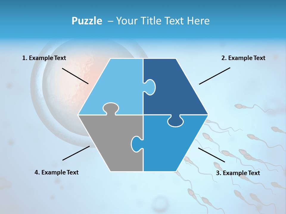 Pregnancy Pregnant Orgasm PowerPoint Template