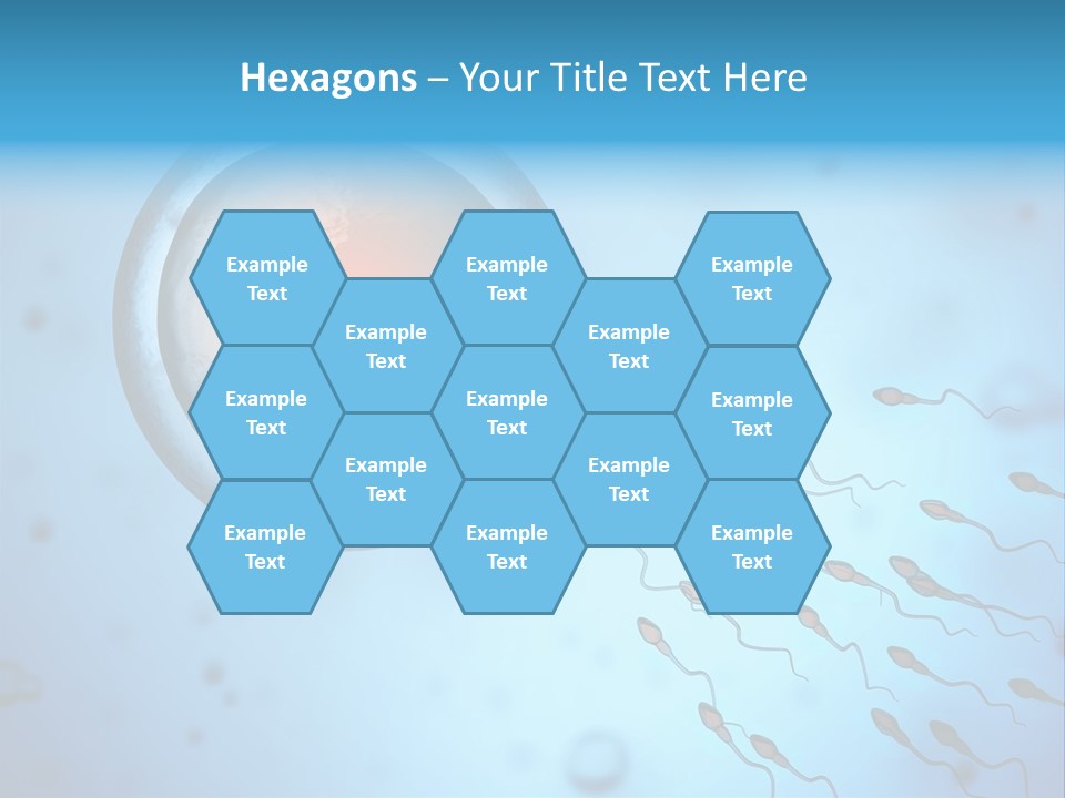 Pregnancy Pregnant Orgasm PowerPoint Template