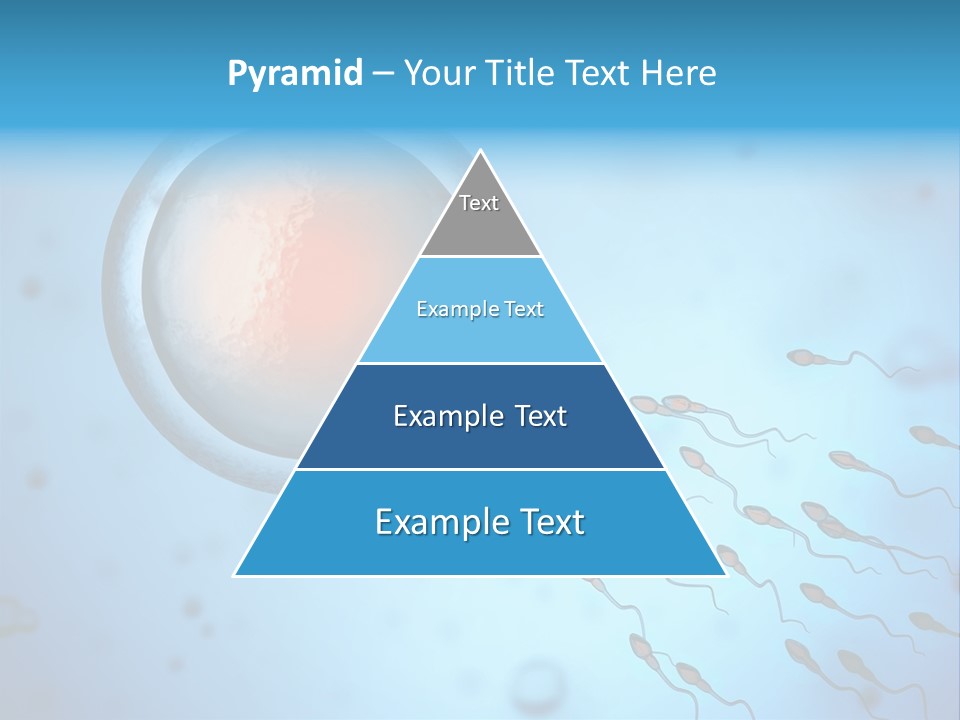 Pregnancy Pregnant Orgasm PowerPoint Template