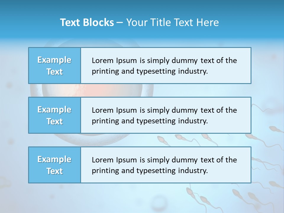 Pregnancy Pregnant Orgasm PowerPoint Template