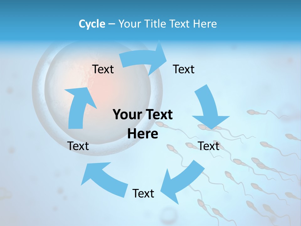 Pregnancy Pregnant Orgasm PowerPoint Template
