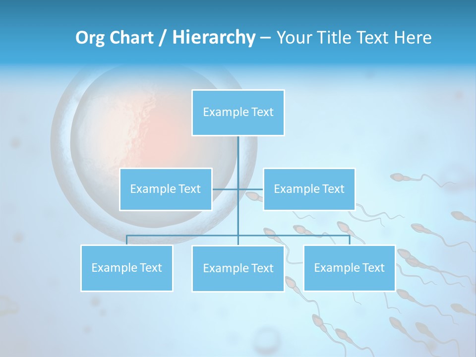Pregnancy Pregnant Orgasm PowerPoint Template