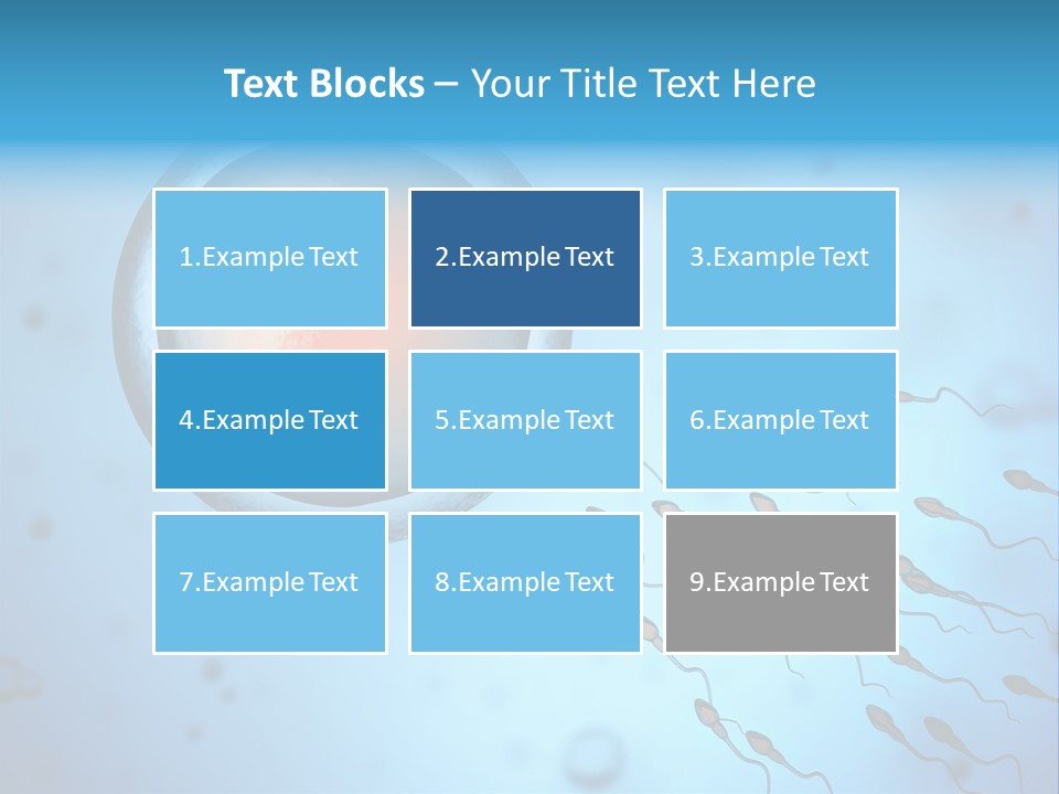 Pregnancy Pregnant Orgasm PowerPoint Template
