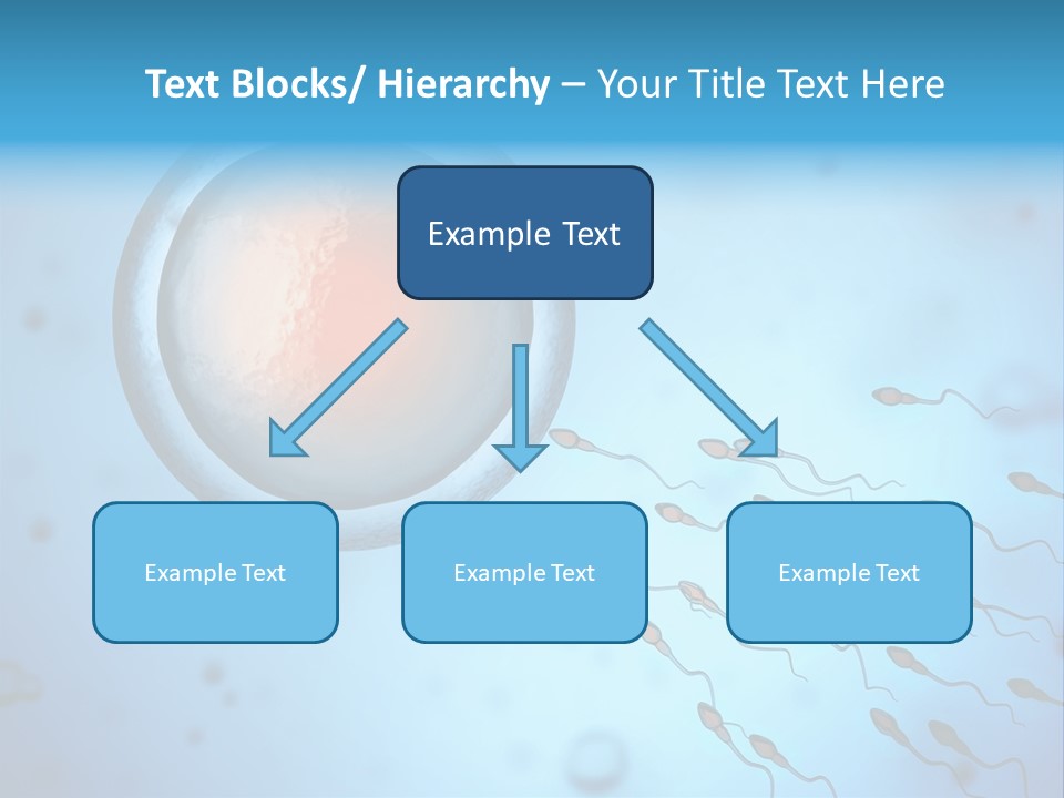 Pregnancy Pregnant Orgasm PowerPoint Template