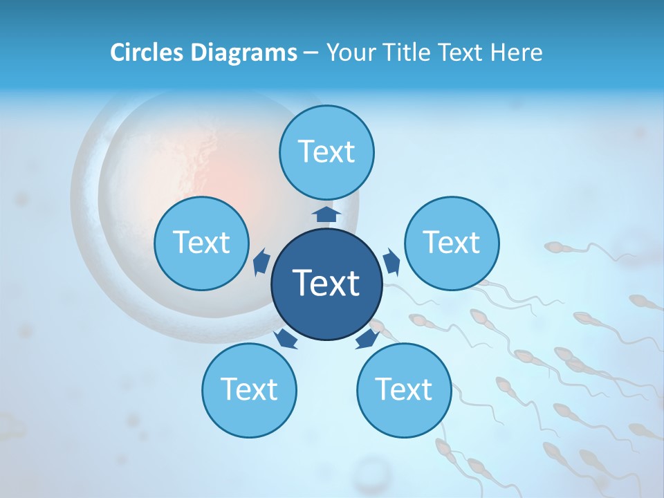 Pregnancy Pregnant Orgasm PowerPoint Template