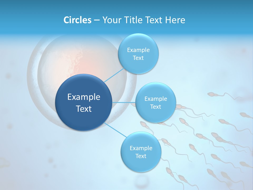 Pregnancy Pregnant Orgasm PowerPoint Template