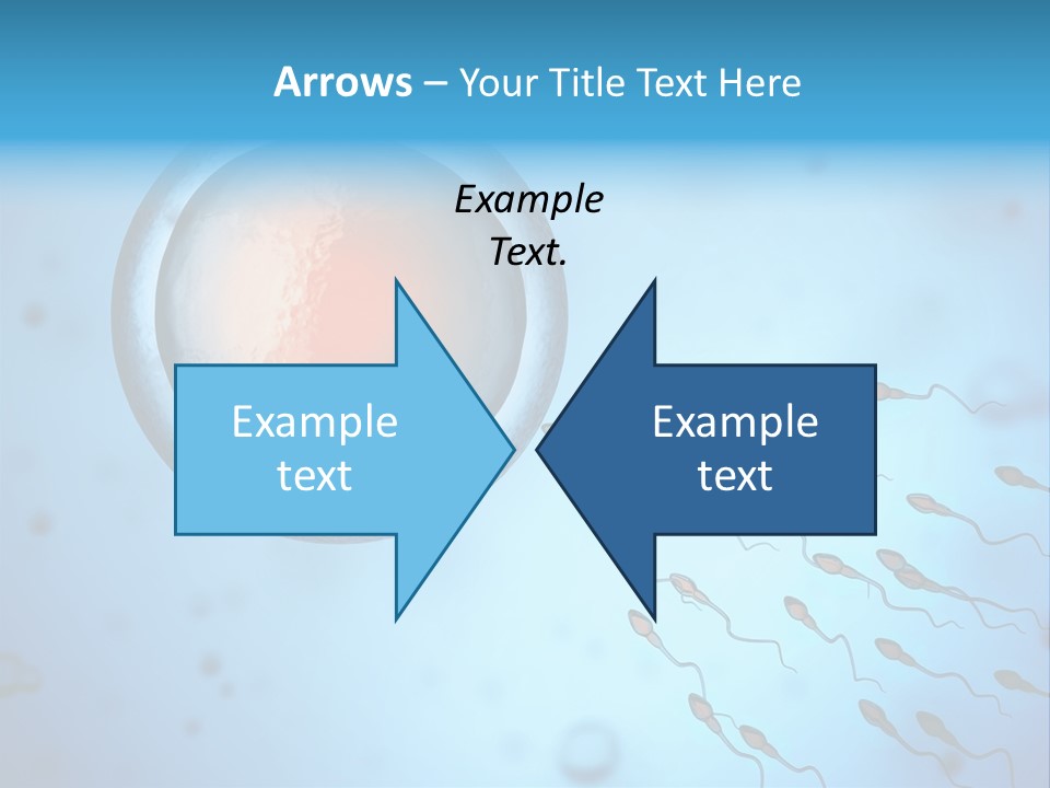 Pregnancy Pregnant Orgasm PowerPoint Template