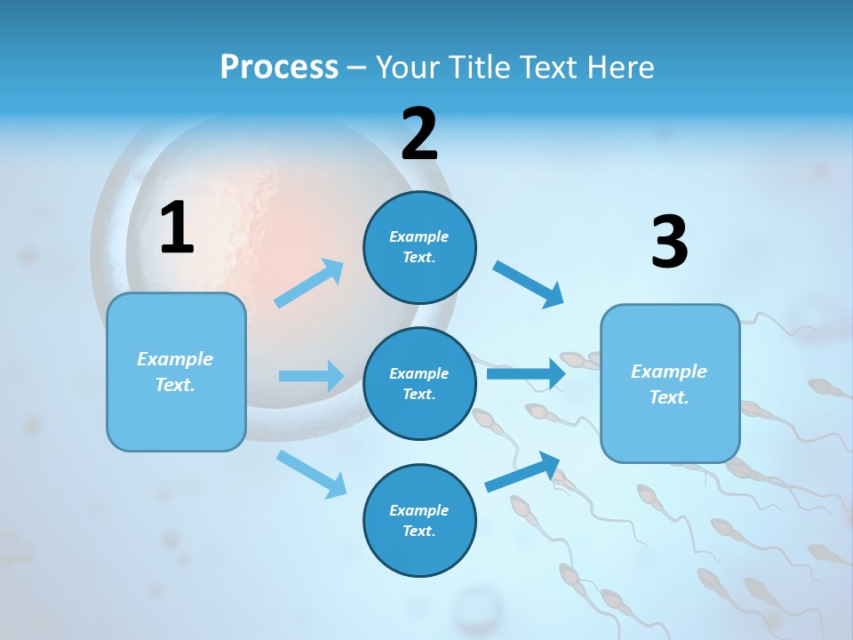 Pregnancy Pregnant Orgasm PowerPoint Template