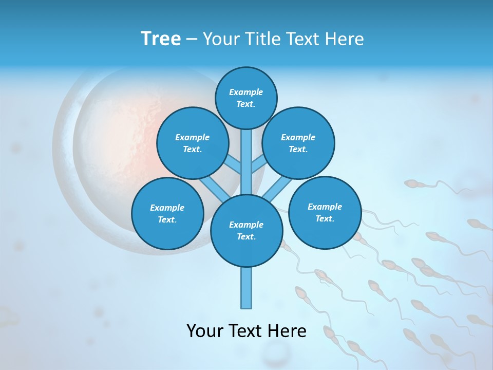 Pregnancy Pregnant Orgasm PowerPoint Template