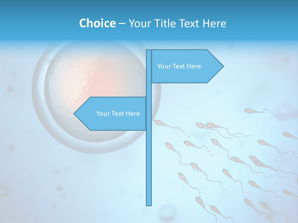 Pregnancy Pregnant Orgasm PowerPoint Template