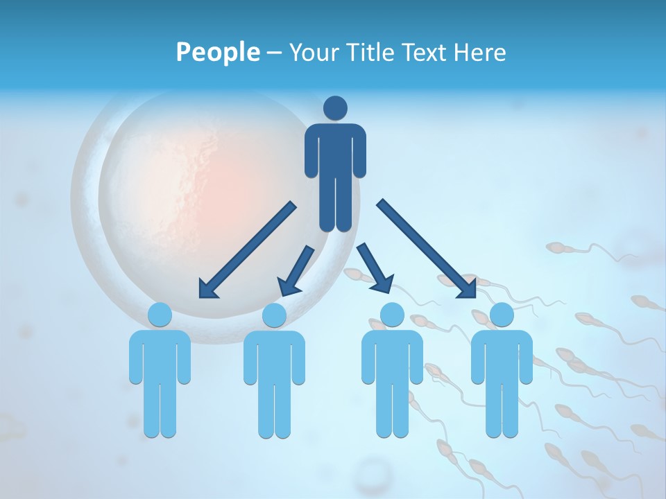 Pregnancy Pregnant Orgasm PowerPoint Template