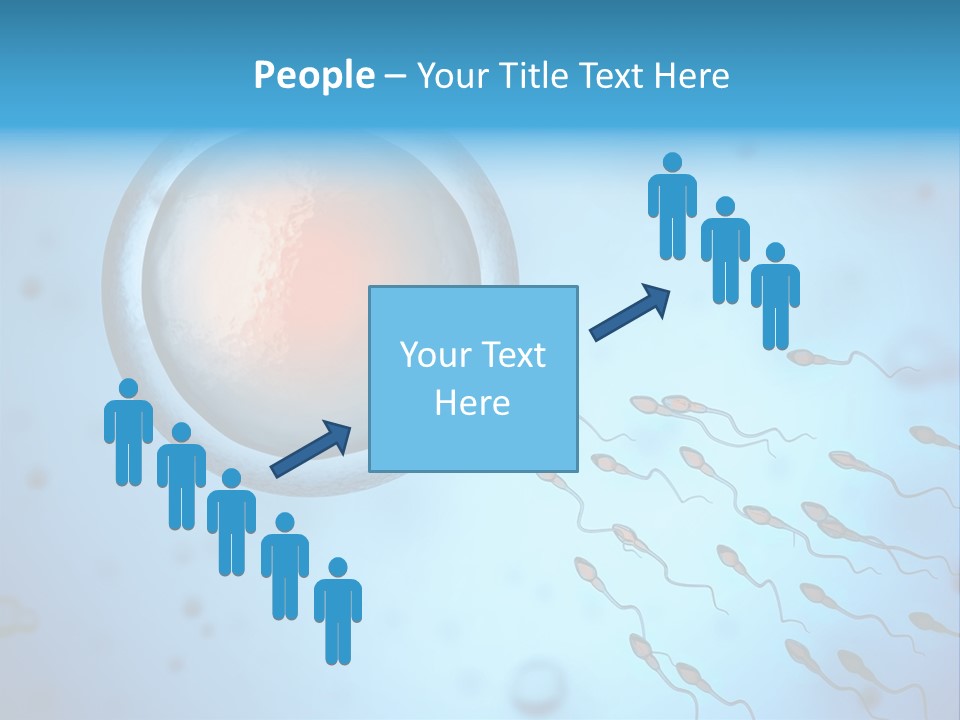 Pregnancy Pregnant Orgasm PowerPoint Template