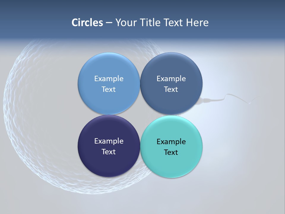 Render Female Micro PowerPoint Template
